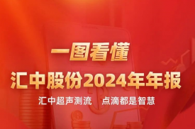 匯中股份2024年度報告