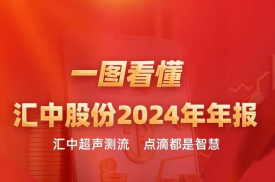 匯中股份2024年度報告